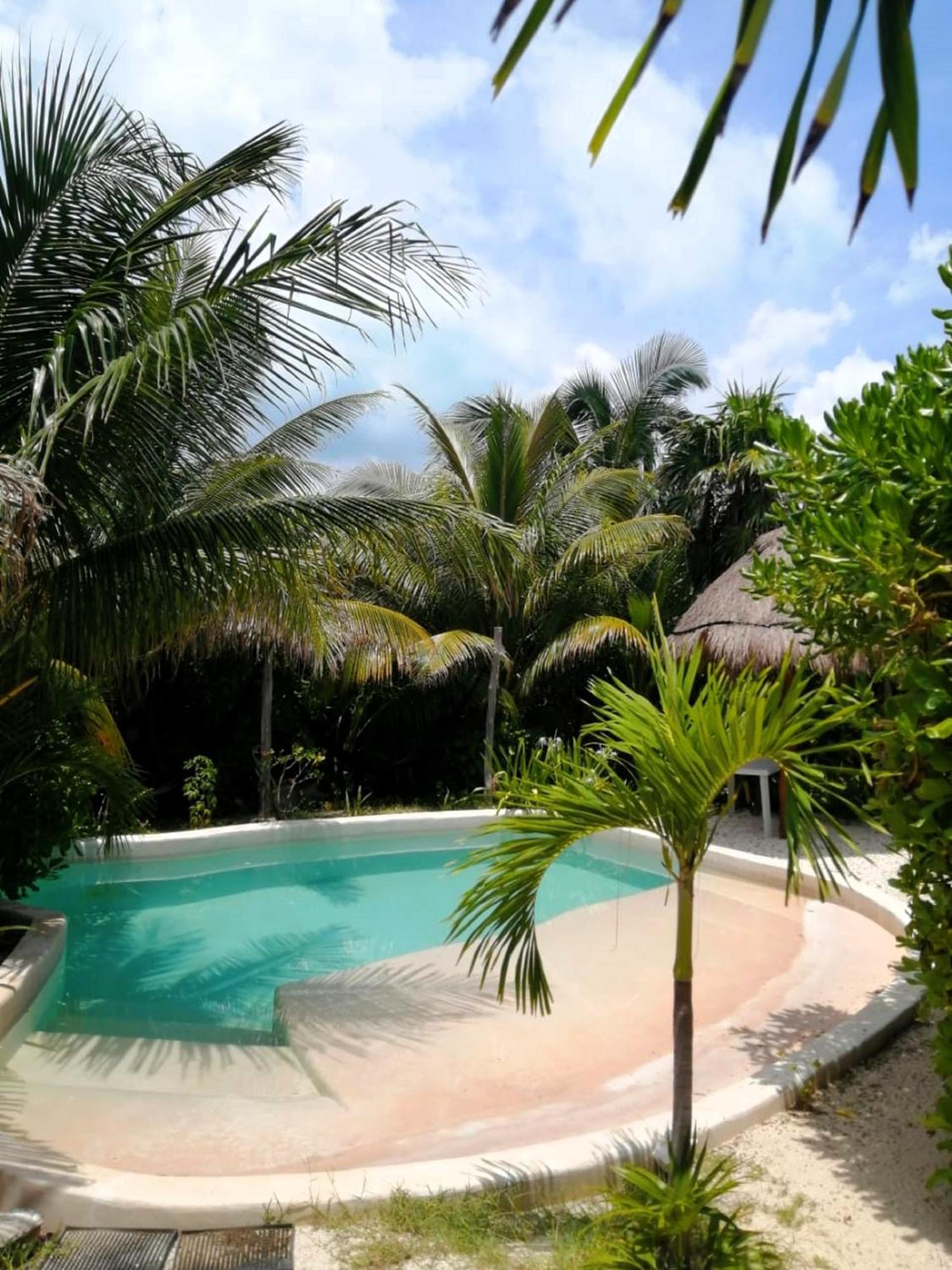 Apartahotel Ikal Island Garden - Adults Only
