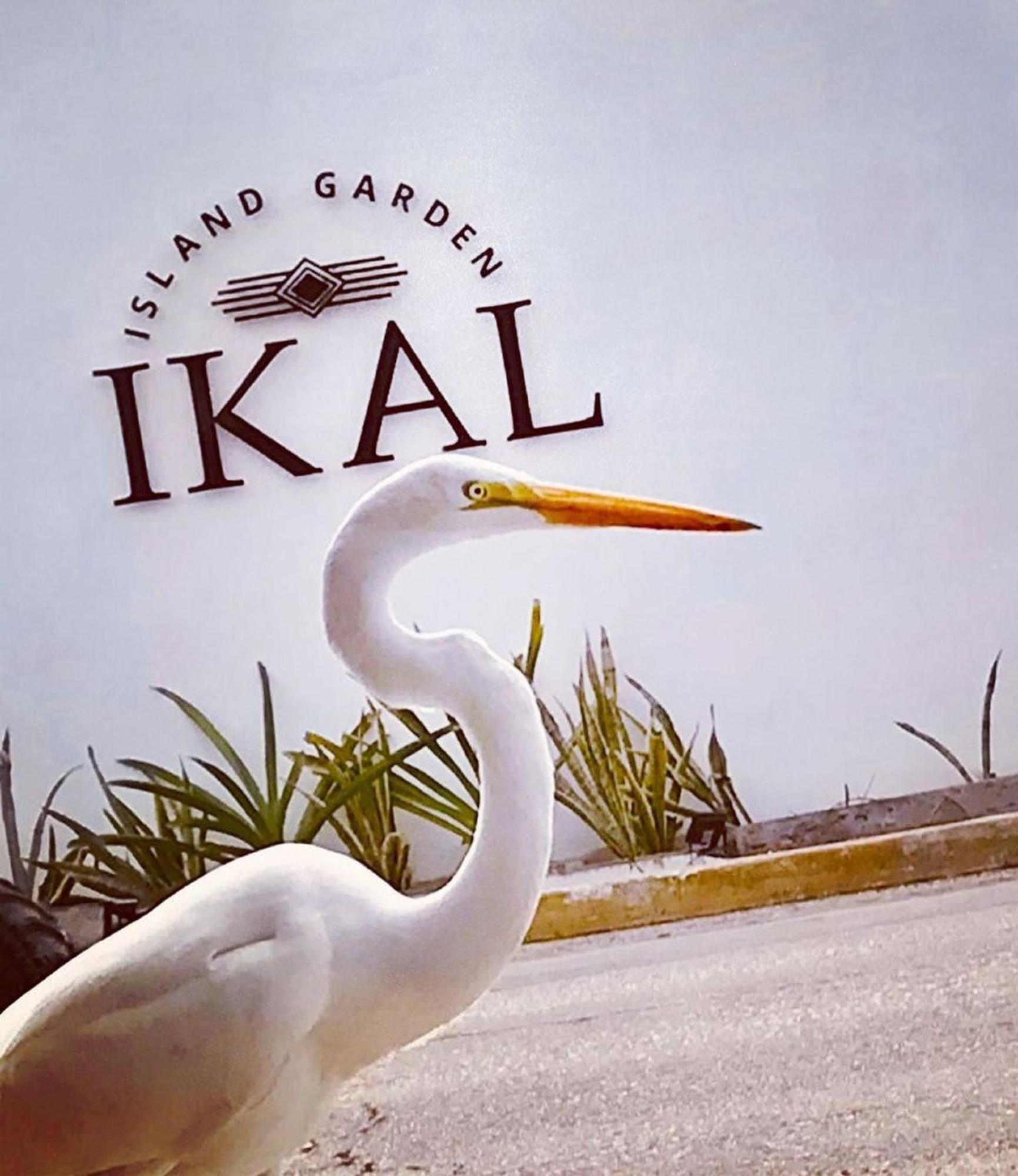 Ikal Island Garden - Adults Only Isla Mujeres